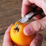 Stainless Steel Unboxing Mini Knife Sharp Portable Folding Small Blade EDC Keychain Hanging Outdoor Camping Knife Multi Tools - immagine 5