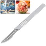 10pcs Carbon Steel Surgical Scalpel Blades + 1pc Handle Scalpel DIY Cutting Tool PCB Repair Animal Surgical Knife - immagine 2